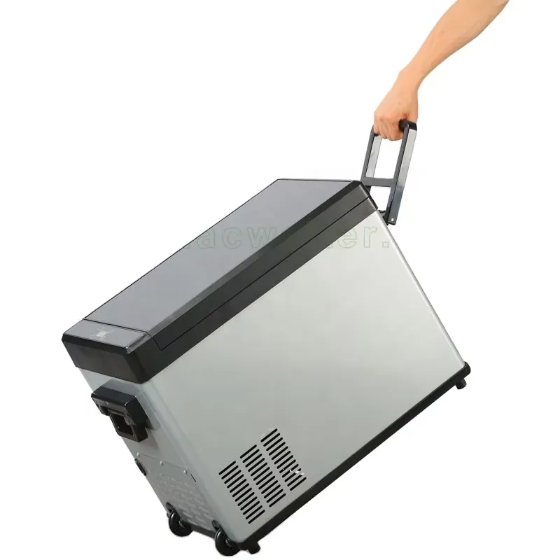 40L Draagbare Elektrische Koel - Wine Beer Mini Fridge recensie en prijs