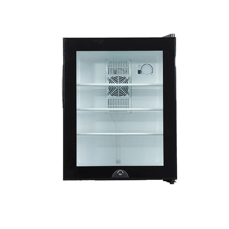 Mini Koelkast Koeler 40L Koelk - Wine Beer Mini Fridge recensie en prijs
